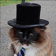 ObeseCatLord