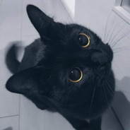 fiwcat