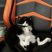 dota90win