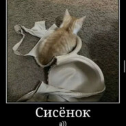 Sisenok