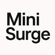 MiniSurge