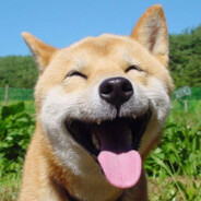 happi