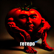 mode: zolo2004