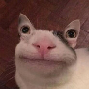 Chinazes