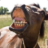 TheDelayedHorse Gamdom.com