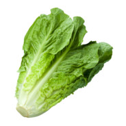 JustLettuce