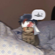 Nap