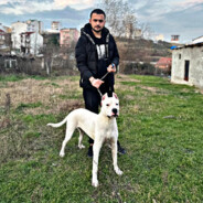 Ziqzawer