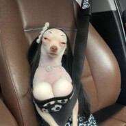 Analitycs of the titties