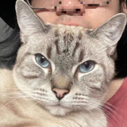 纳我问你