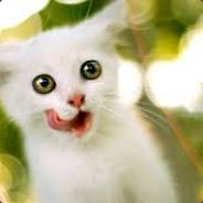 Bjelse BoB<3