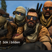 stolt svensk