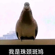 地板是拿来哐哐踩的