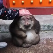БИБИЗЯН