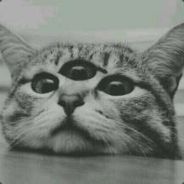 dragonlaggin