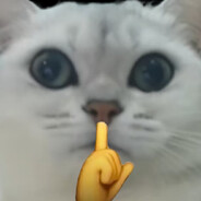 冰瓜大喷菇