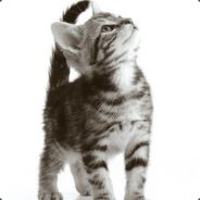 (swe)Katt^En^Nu