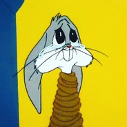 A bunny12