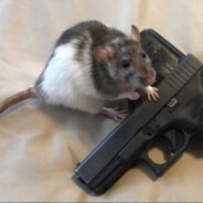 ✪ Ratatouille -iwnl-