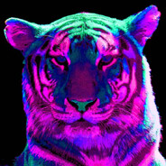 DJ Snake