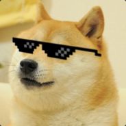 DEAL WITH DOGE
