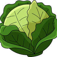 HolyCabbage