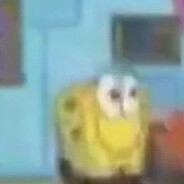 spoinkbob