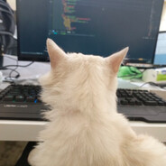 onlylily <3