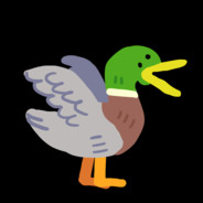 LE_DUCK
