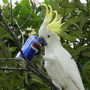 TrashCommander