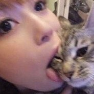 toxic kitten