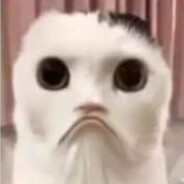 Kevin