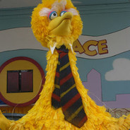 President Big Bird