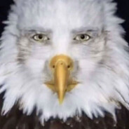 Avatar de la communauté Steam