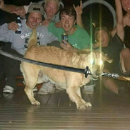 Dogski
