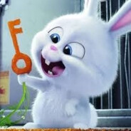 ★★★mad.rabbit★★★