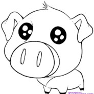 Pig