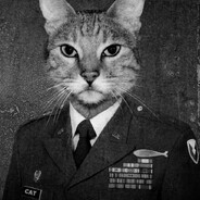 Mr.MeowGi