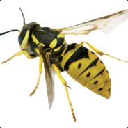 Steam Curator: Raging Wasps