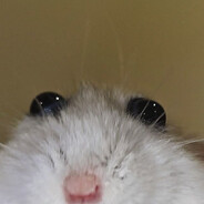 T.