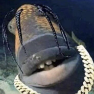 48kg Penis