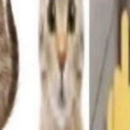 Nayo