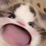 machi