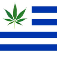 ✔ ✔