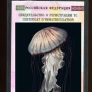 Техпаспорт медузы