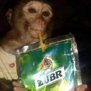 Monkey Jonny