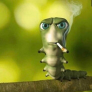 Kingaknaga