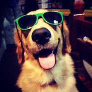dxzy