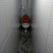 toilets with threatening auras