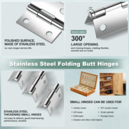 Stainless Steel Mini Hinges